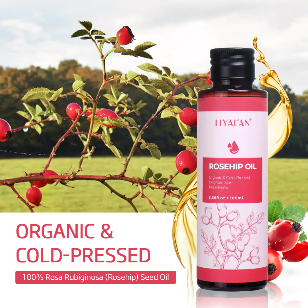 100ml Rosehip Oil Brighten Fir - Face Oil Rosehip 评论和价格